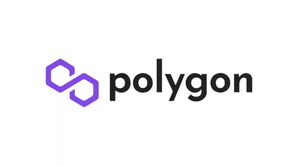 CVJ.CH-Polygon-Network-1-1.jpeg